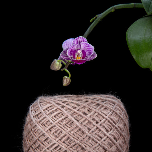 Porterness Studio Framed Photographic Print - Pink Flax Yarn Cake with Orchid